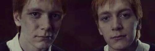 bieber_scarpato's profile banner image