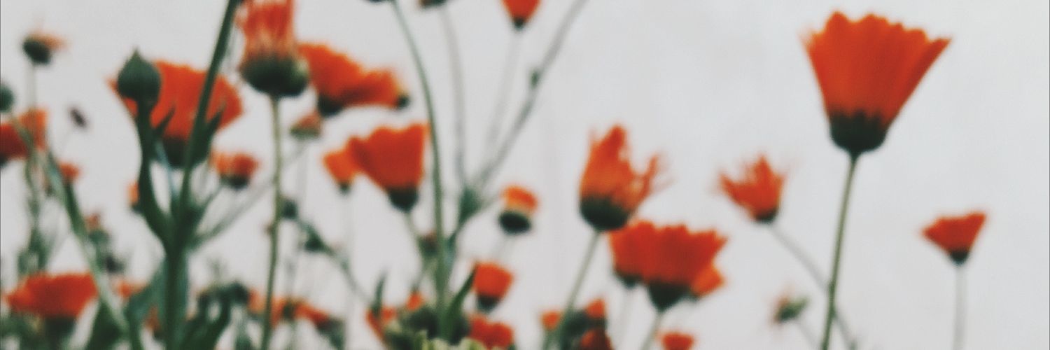 TheLonelyGun's profile banner image