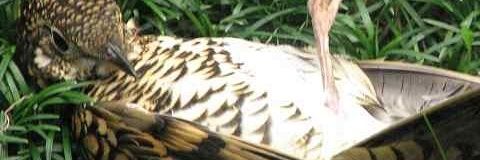 undefined624's profile banner image