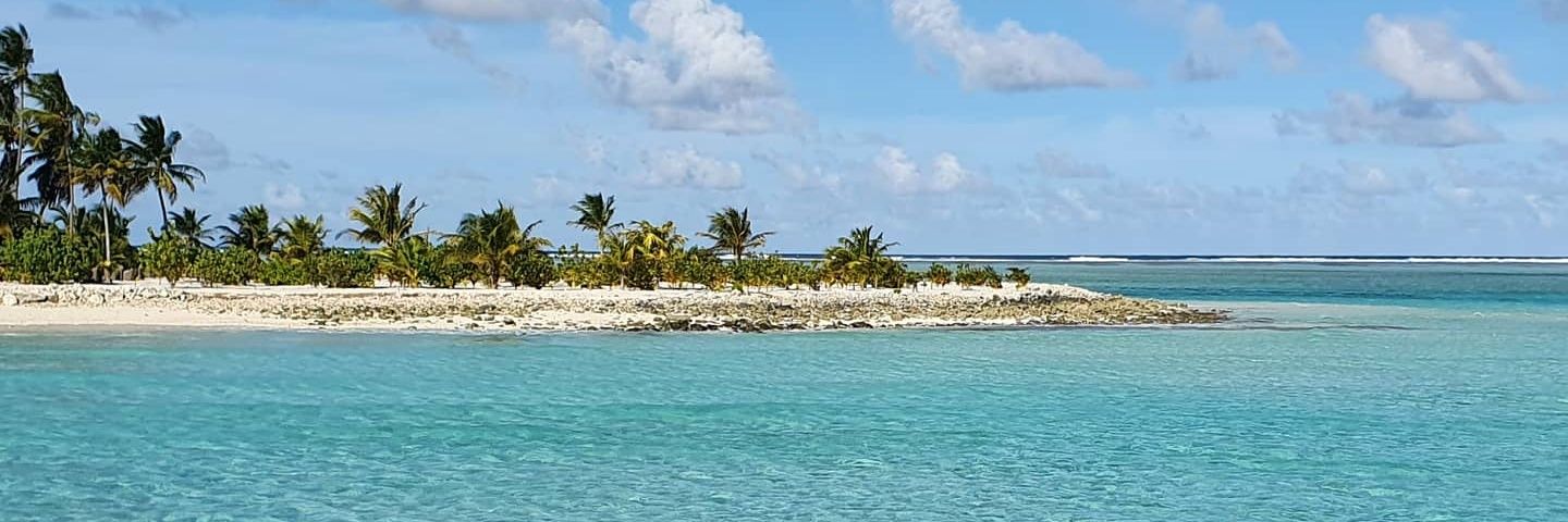 Carlos Castaños banner