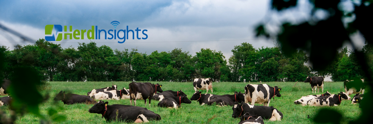 herdinsights's profile banner image