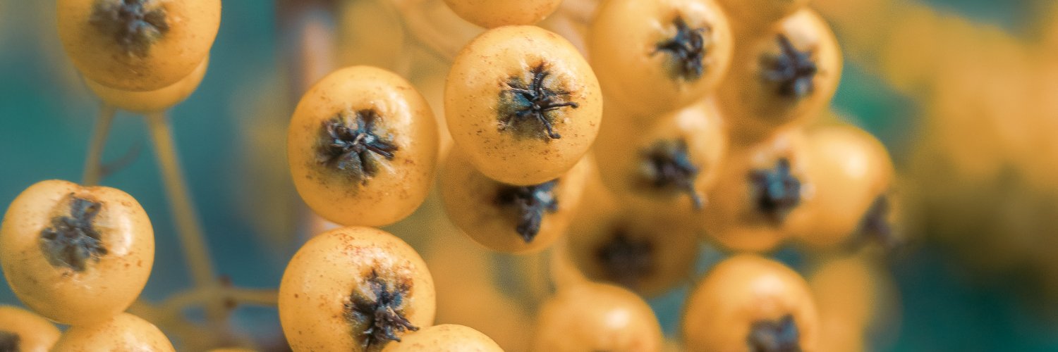 walletluna.eth banner