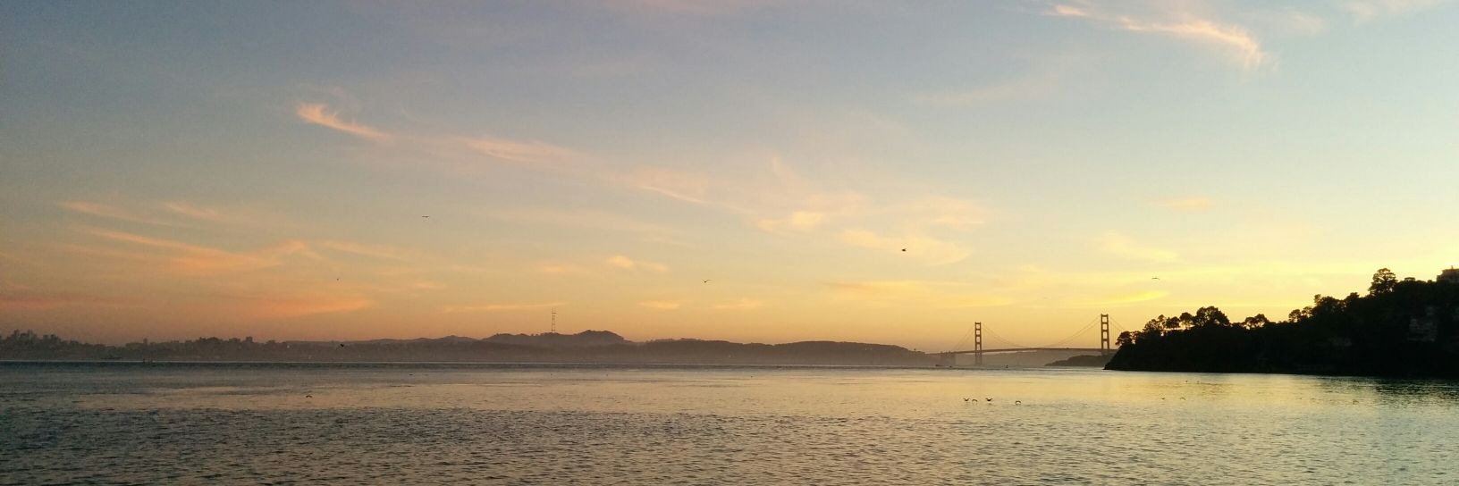 yalonsob's profile banner image