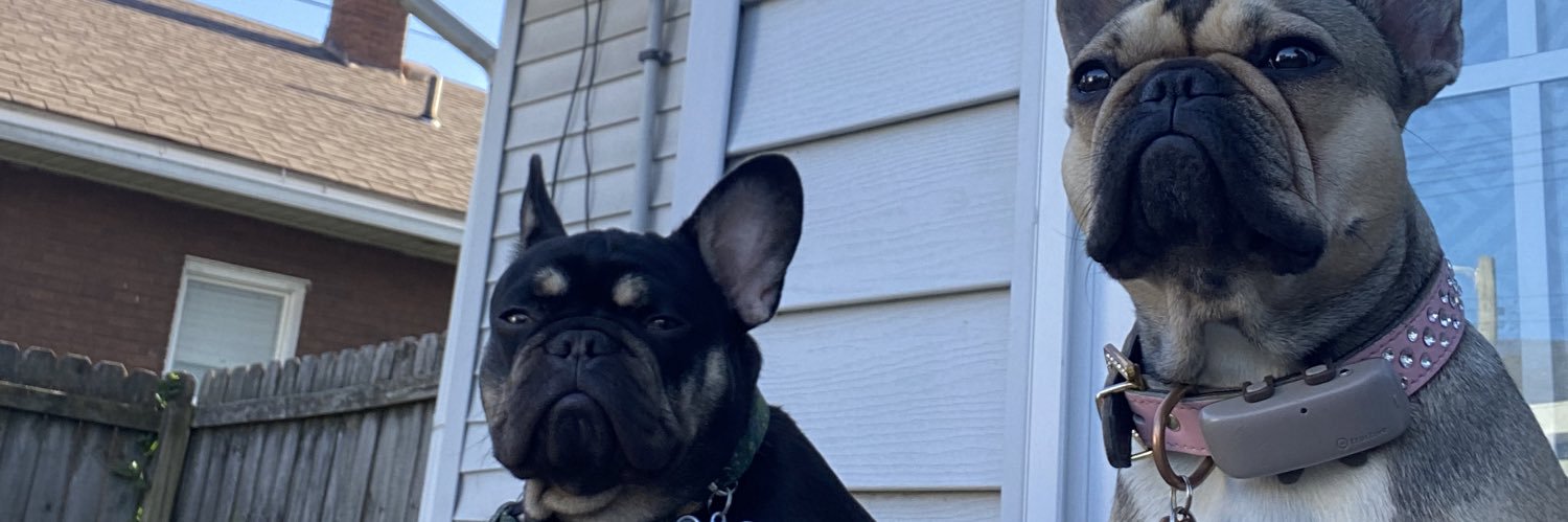 skkywine's profile banner image
