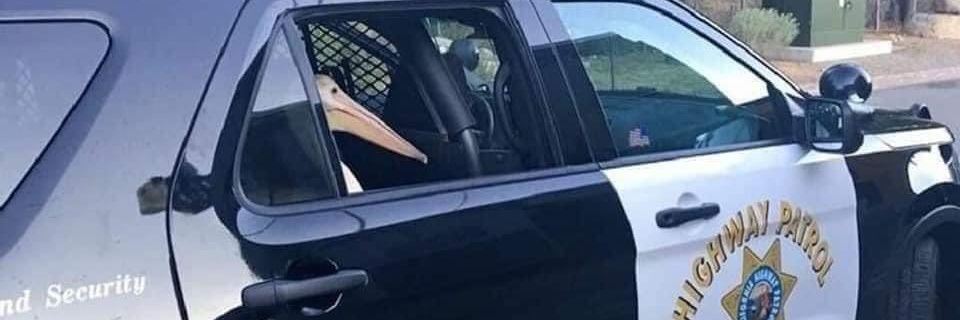 Paco_toledoo's profile banner image