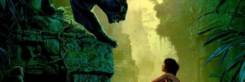 Noknok ♠️♥️♣️♦️ banner