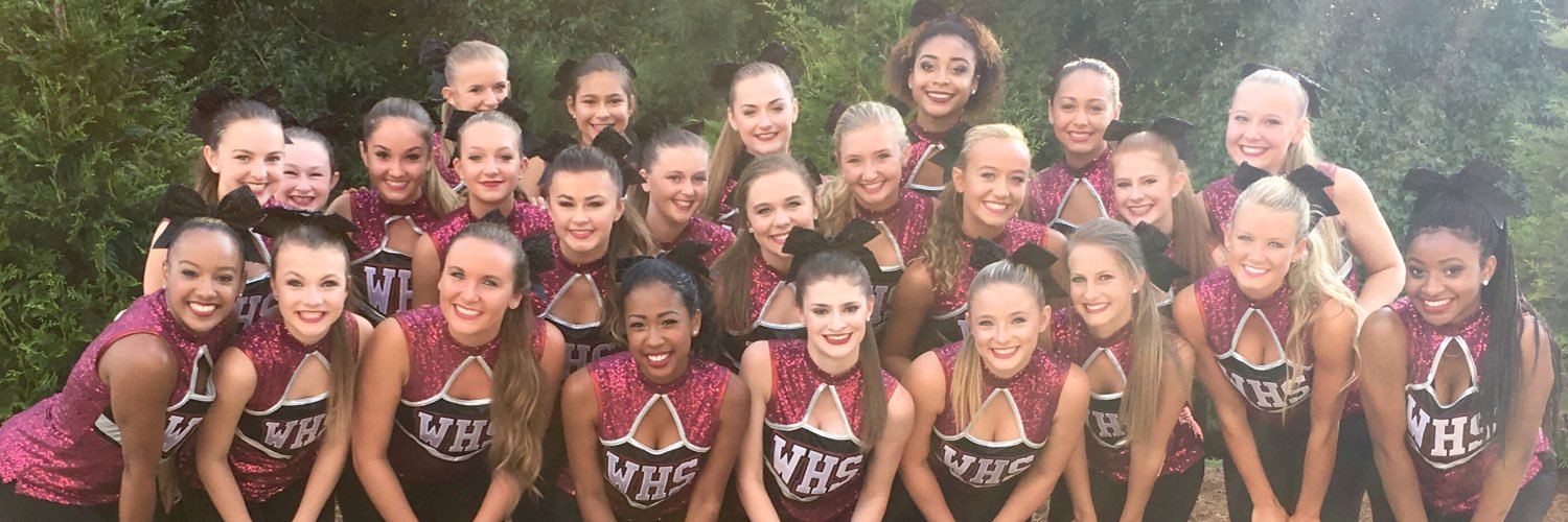 WHSDanceTeam_16's profile banner image