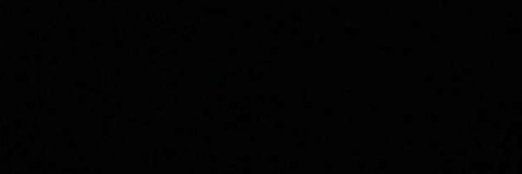 shylaaa___x0's profile banner image
