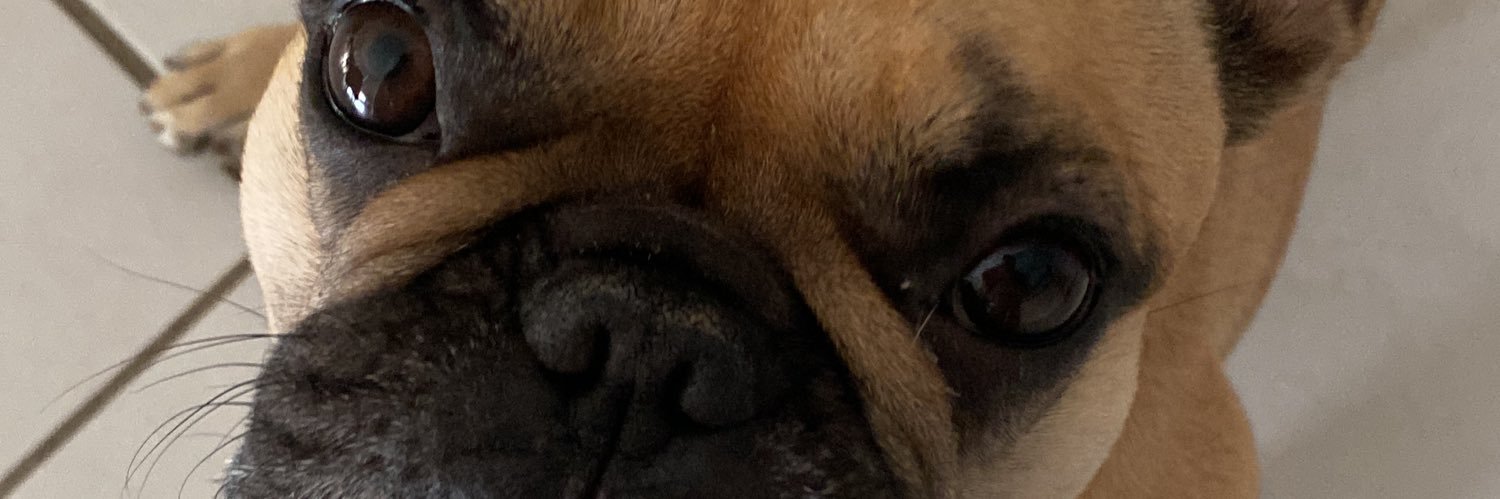fseMatt's profile banner image