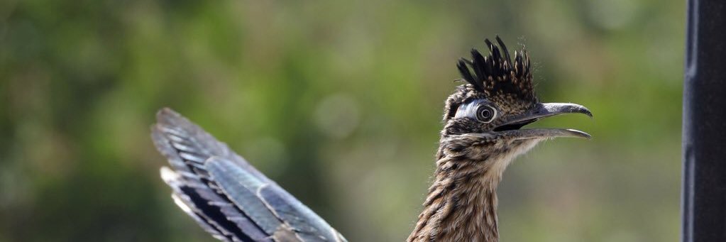 tflo33's profile banner image