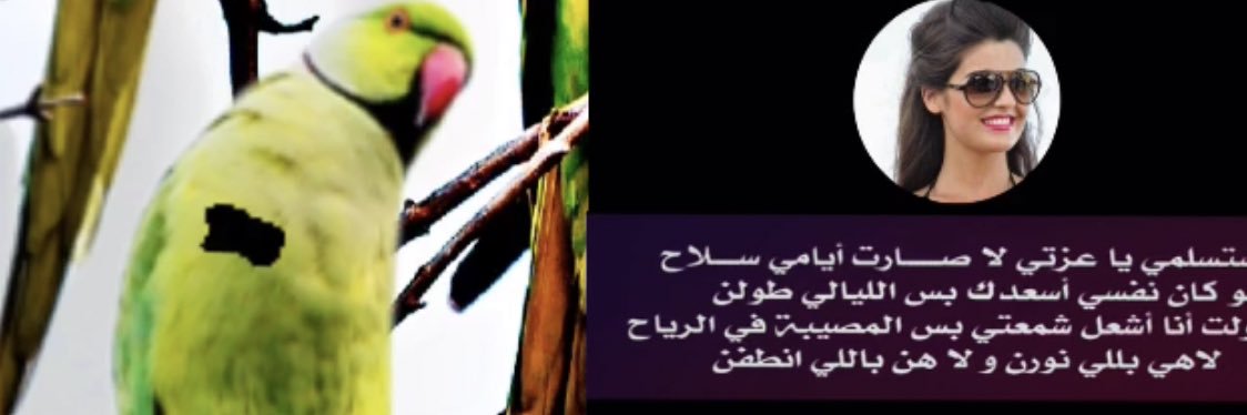 nada_abdullah177 banner