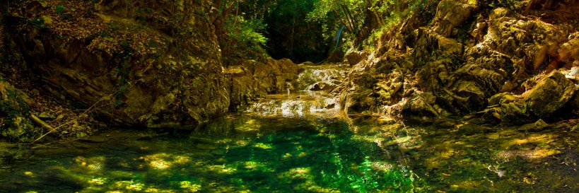 Luca Cecchetti banner