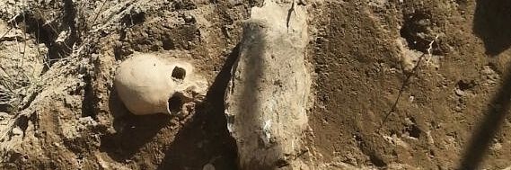 Archaeologist_b's profile banner image