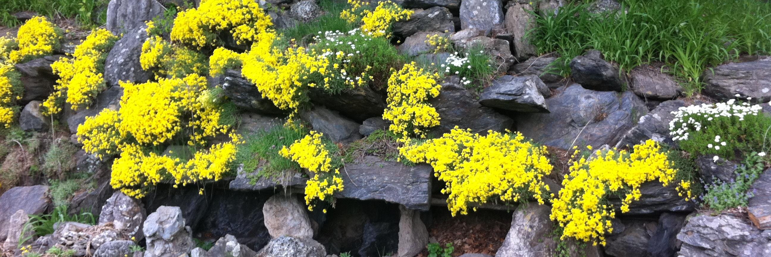 Marianne Stanton banner