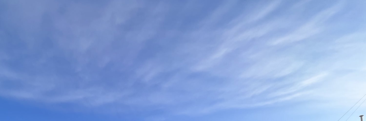 bunnytaikei's profile banner image