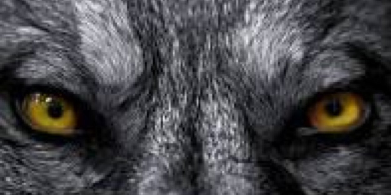 ZekeGMH's profile banner image