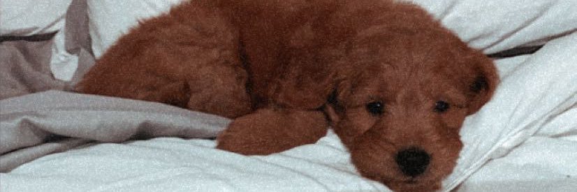 laur_parkerr's profile banner image