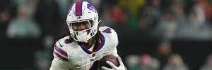 Bills Fan banner