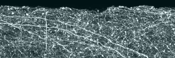 georg98keller Profile Banner