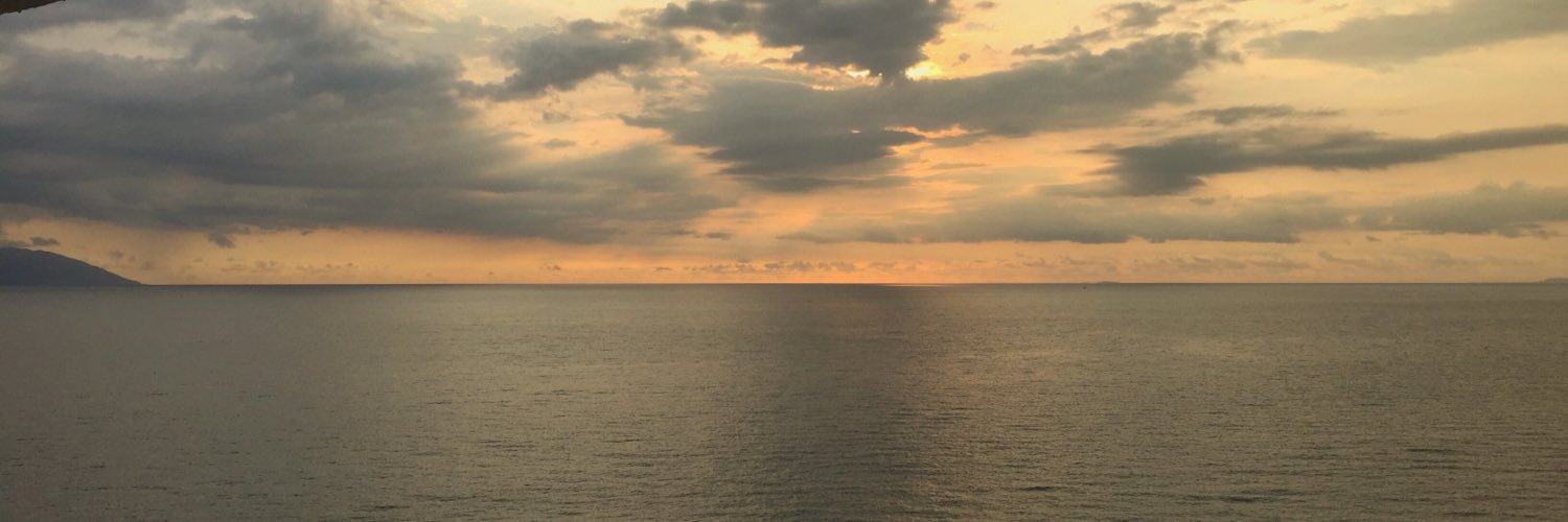 Teekozy's profile banner image