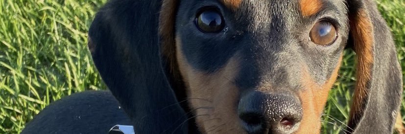 melansonmya's profile banner image
