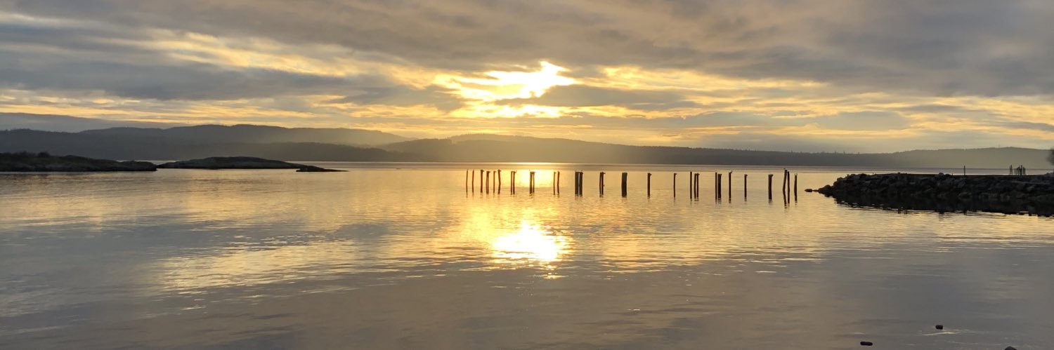 Dante De Caria banner