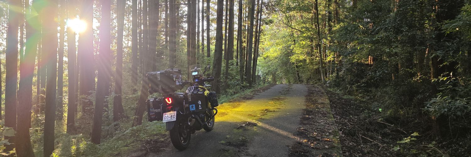 なせる@Vスト250🐓鈴菌保菌人類👾 banner