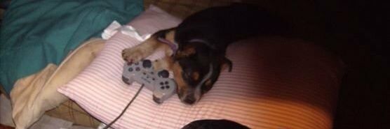 Sorinian Stoneguard banner