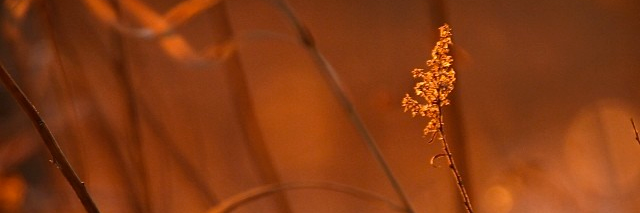 ggblanc7's profile banner image