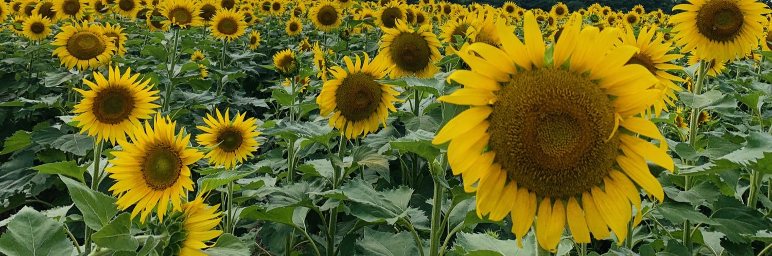 kkentner2014's profile banner image