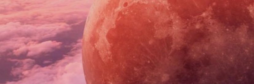 Xoe314's profile banner image