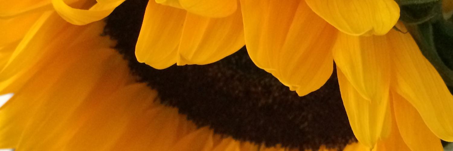 Manley Park PTA banner