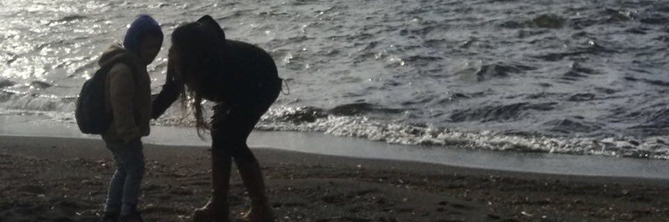 mamasauria33's profile banner image