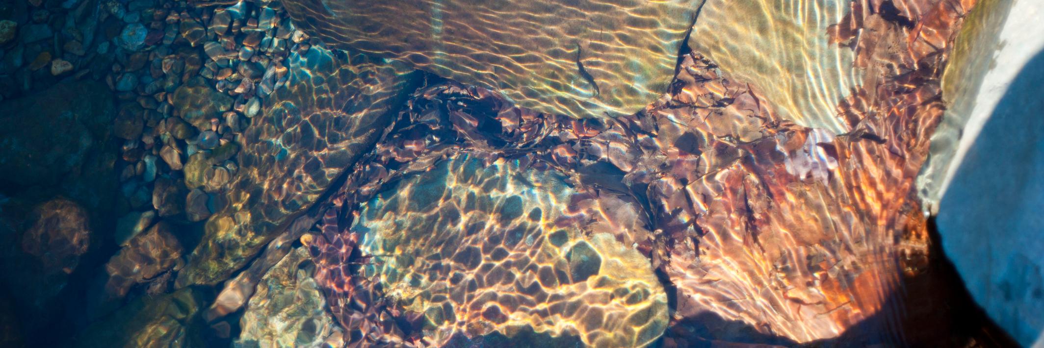 DaniMacPhoto's profile banner image
