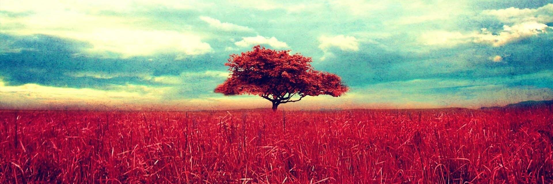 slow_motion banner