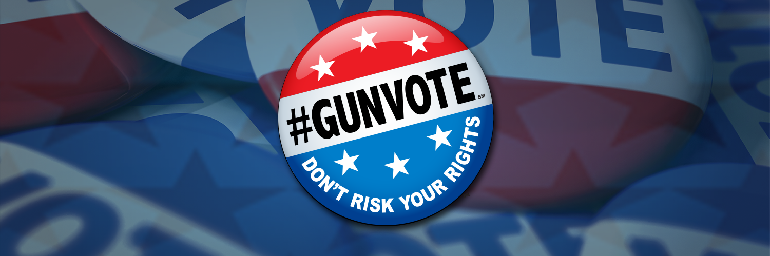 #GUNVOTE banner