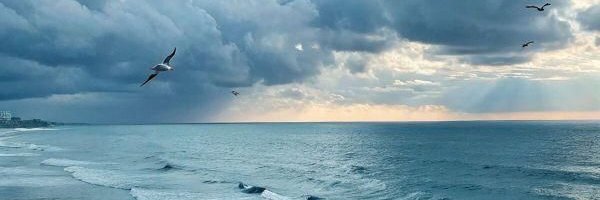 LoquaciousAlice's profile banner image