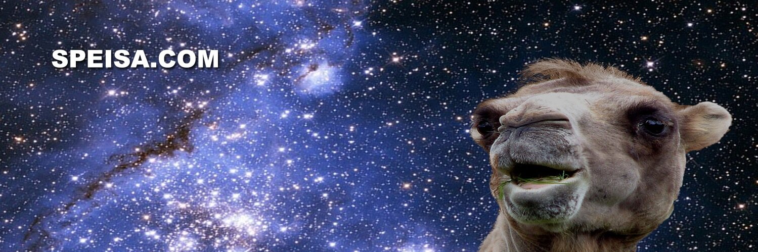 SpeisaTweets's profile banner image