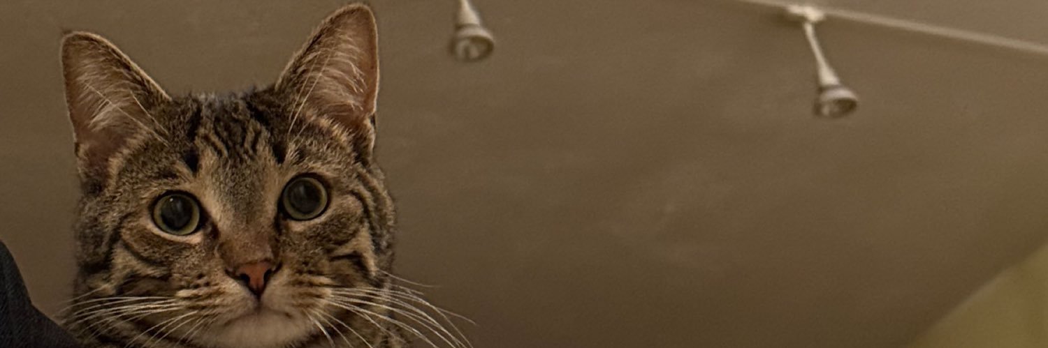 Nevrlow's profile banner image