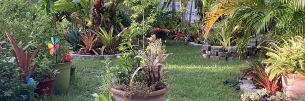 👑 Queen of Common Sense banner