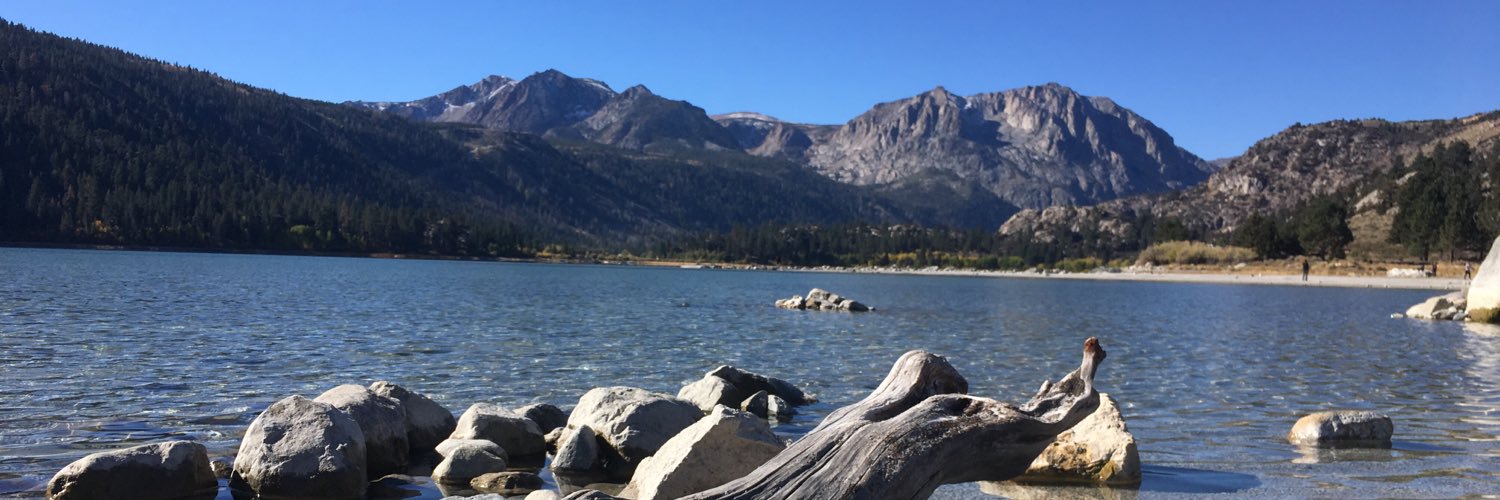 torye's profile banner image