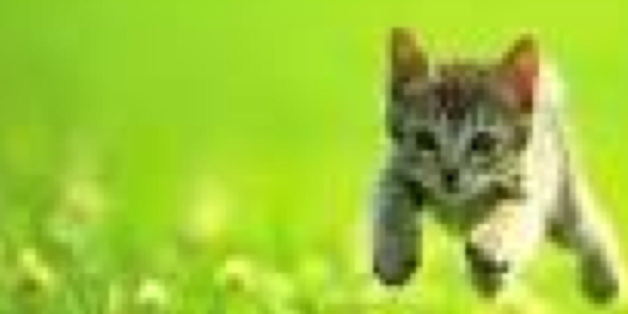 RinBritish's profile banner image
