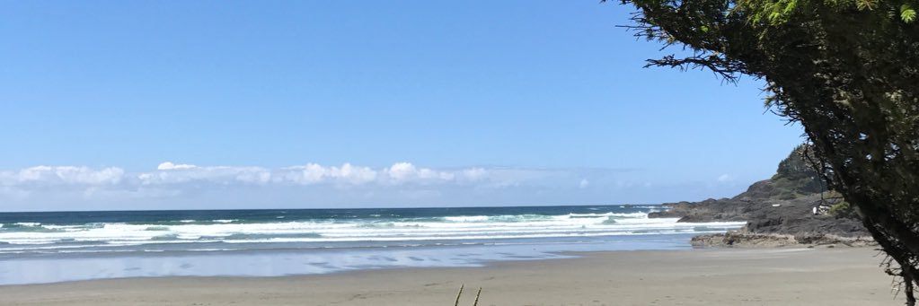 Bruce Williams banner