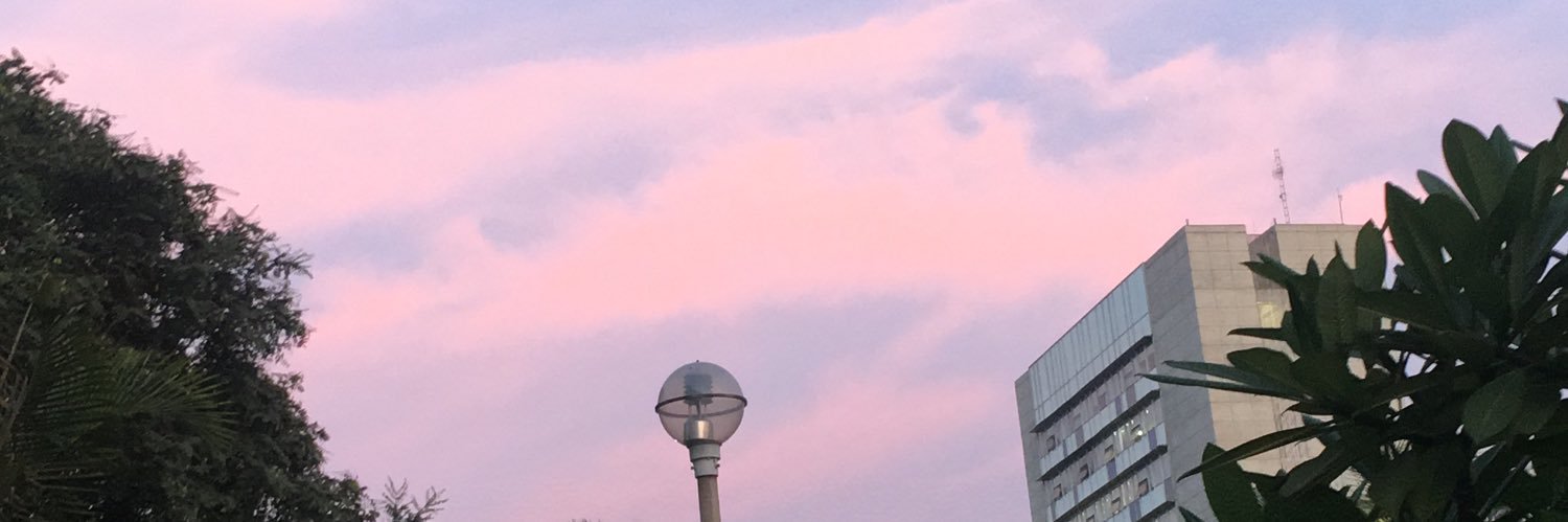 PaltaEnVida's profile banner image