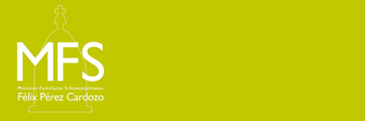 MFSFelixPerezC's profile banner image