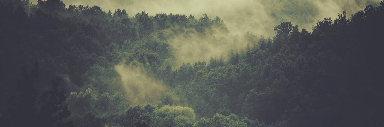 anyabduqq's profile banner image