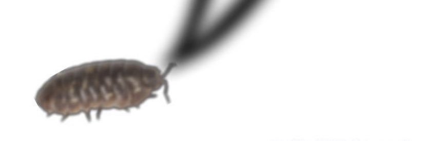 logan_beach47's profile banner image