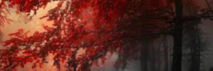_IAmVonte_'s profile banner image