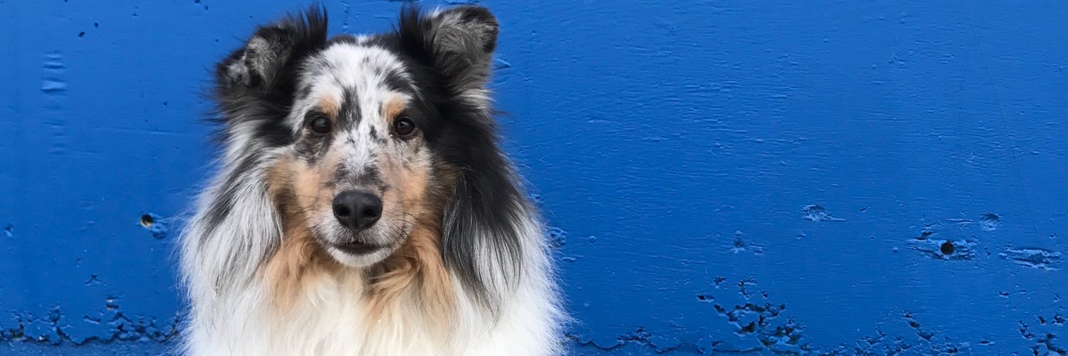 deanna❤️‍🔥 banner