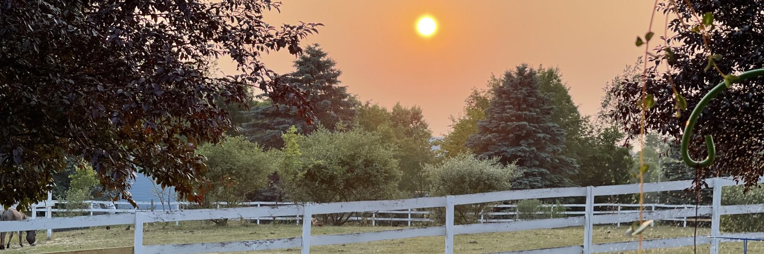 Douglas Bellah banner